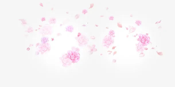 花瓣 漂浮 PNG免扣透明背景