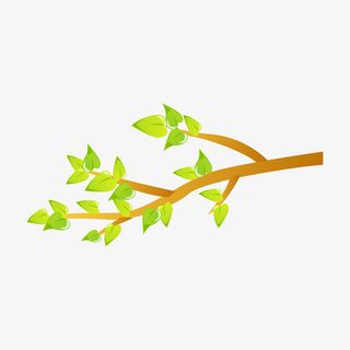 矢量树枝免抠