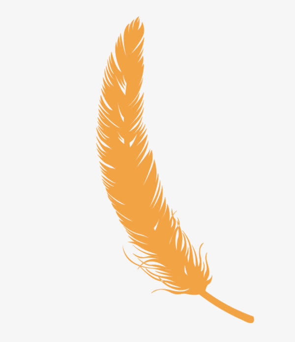 彩色羽毛免抠