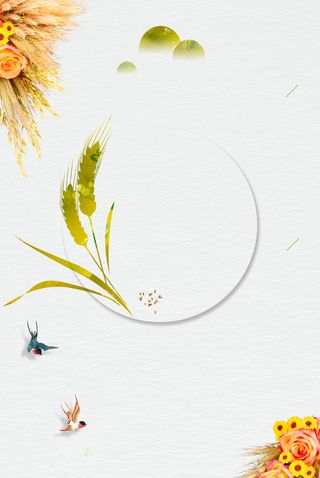 简约芒种农历二十四节气宣传海报背景素材高清