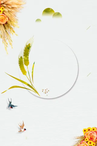 简约芒种农历二十四节气宣传海报背景素材高清