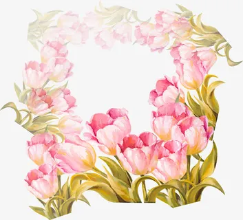 粉色花圈植物免抠