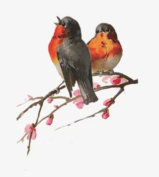 彩绘植物水墨画花鸟免抠