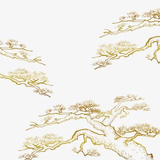 金色植物松树卡通金箔中国风国潮元素免抠