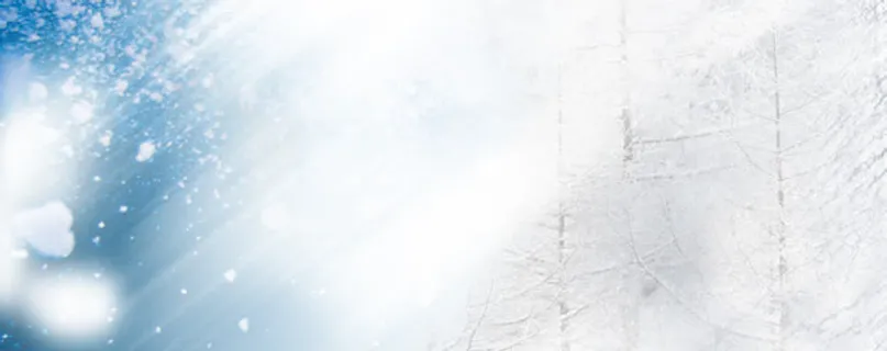 简约唯美海报背景banner