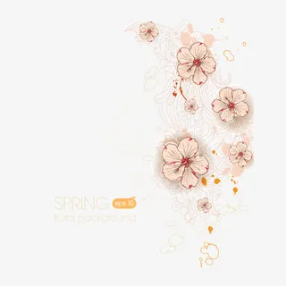 小清新花卉图片素材免抠