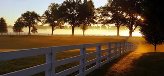 夕阳下banner背景图高清