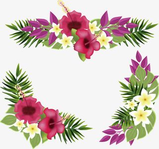 玫红百合花装饰边框免抠