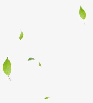 绿叶飘落漂浮素材免抠