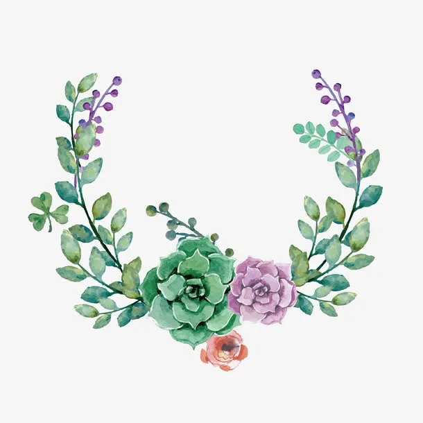 蔷薇花冠免抠
