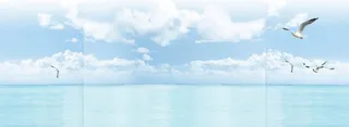 蓝色海鸥背景页面装饰高清