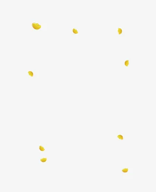 漂浮的金币免抠