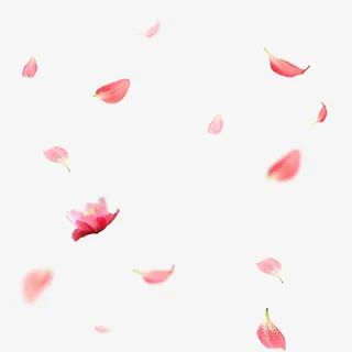 散落唯美花瓣设计元素免抠