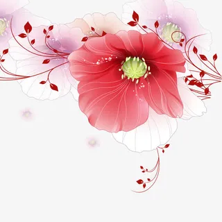 花朵免抠 花朵免抠