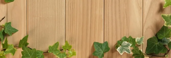 淘宝背景高清