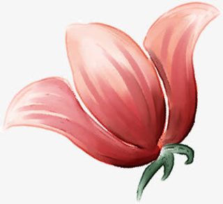 手绘水彩粉色渐变花朵免抠