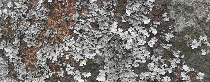 复古做旧背景高清