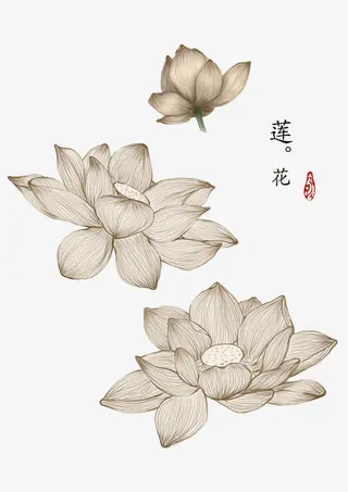 白色古风莲花手绘免抠