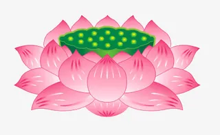 莲花座矢量免抠