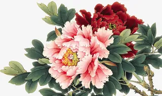 富贵花中国风意境素材免抠