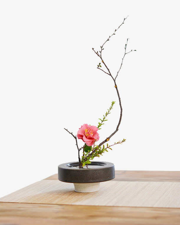 桌子上的盆景免抠