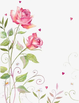 手绘红色玫瑰免抠