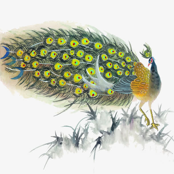 孔雀免抠