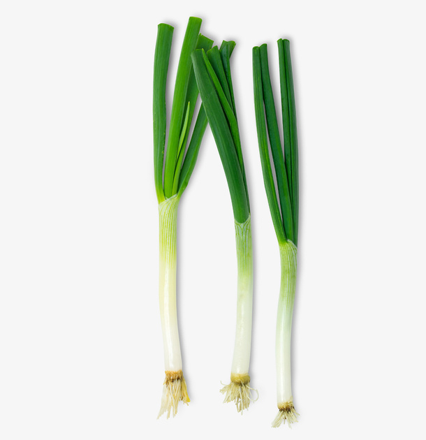 大葱 葱 蔬菜 日本大葱免抠