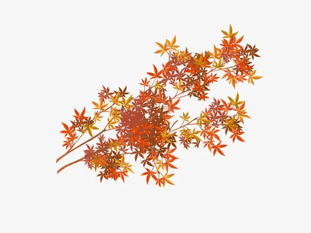 树枝花卡通矢量素材免抠