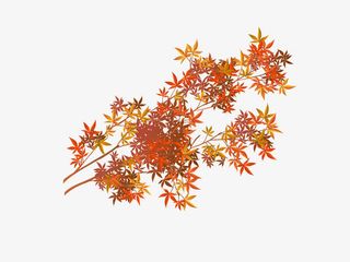 树枝花卡通矢量素材免抠