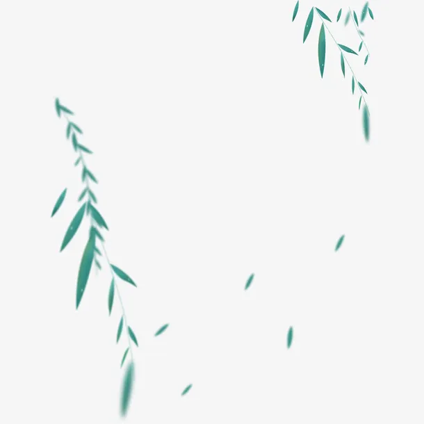 春天的柳叶卡通免抠动植物植物元素