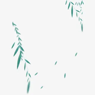 春天的柳叶卡通免抠动植物植物元素