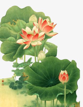 漂浮花瓣气泡简洁大方树叶树丛免抠