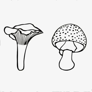 木耳蘑菇手绘免抠