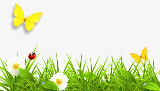 蝴蝶小花草丛免抠