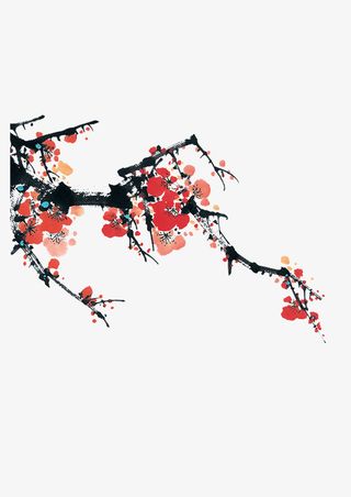 梅花 树枝免抠