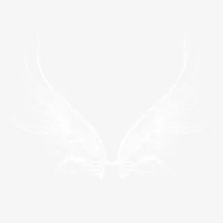 水花翅膀素材免抠