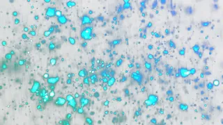 超炫蓝色光斑粒子特效免抠