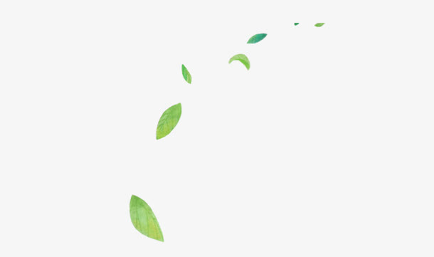 树叶免抠漂浮叶子元素