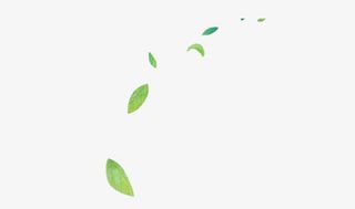 树叶免抠漂浮叶子元素