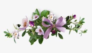 绿植花草花草标签免抠