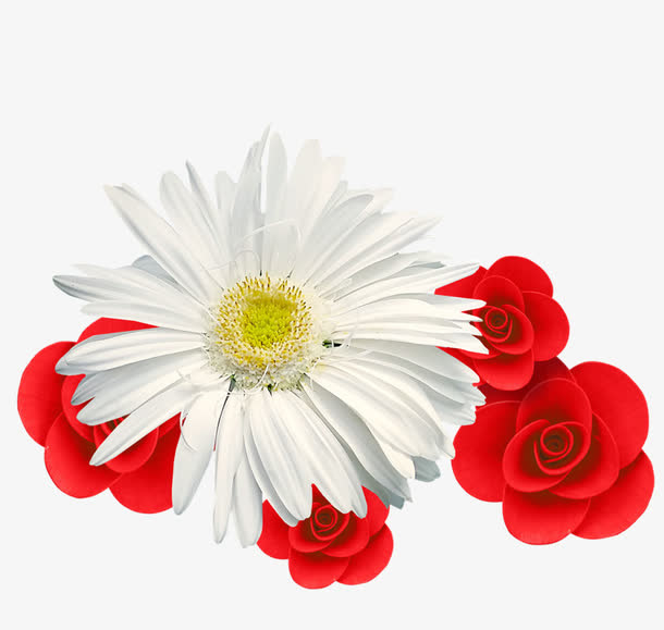 白色菊花红色玫瑰免抠