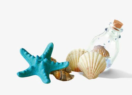 高清摄影蓝色海星贝壳漂流瓶免抠