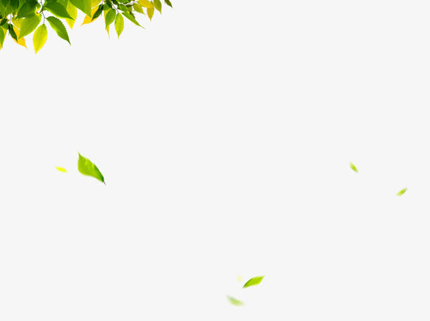 绿叶免抠