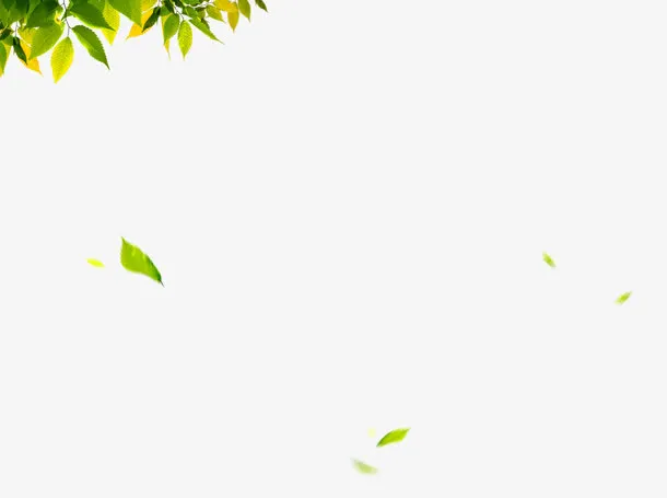 绿叶免抠