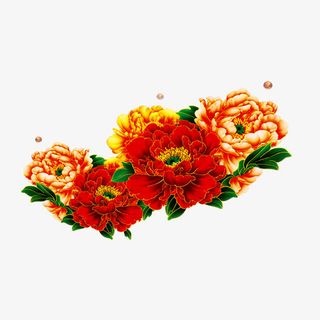 中国富贵牡丹花免抠