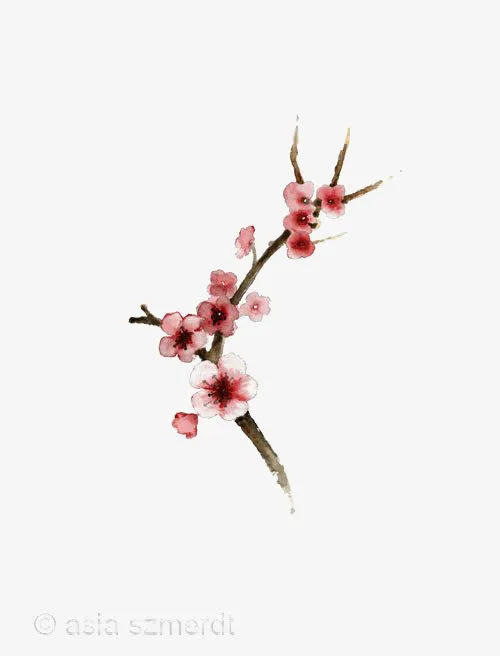 手绘桃花免抠