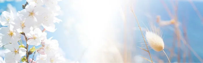 淘宝清新服装背景banner高清