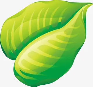 黄绿色清新纹理树叶装饰免抠