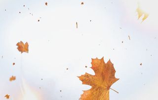 秋天到了素材图片免抠